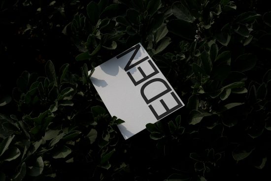 White card with bold black typography mockup lying on green foliage background, showcasing elegant font design, suitable for branding presentations.