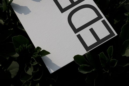 Paper mockup with bold typography partially shown, textured with shadows over green leaves, ideal for branding presentation graphic design.