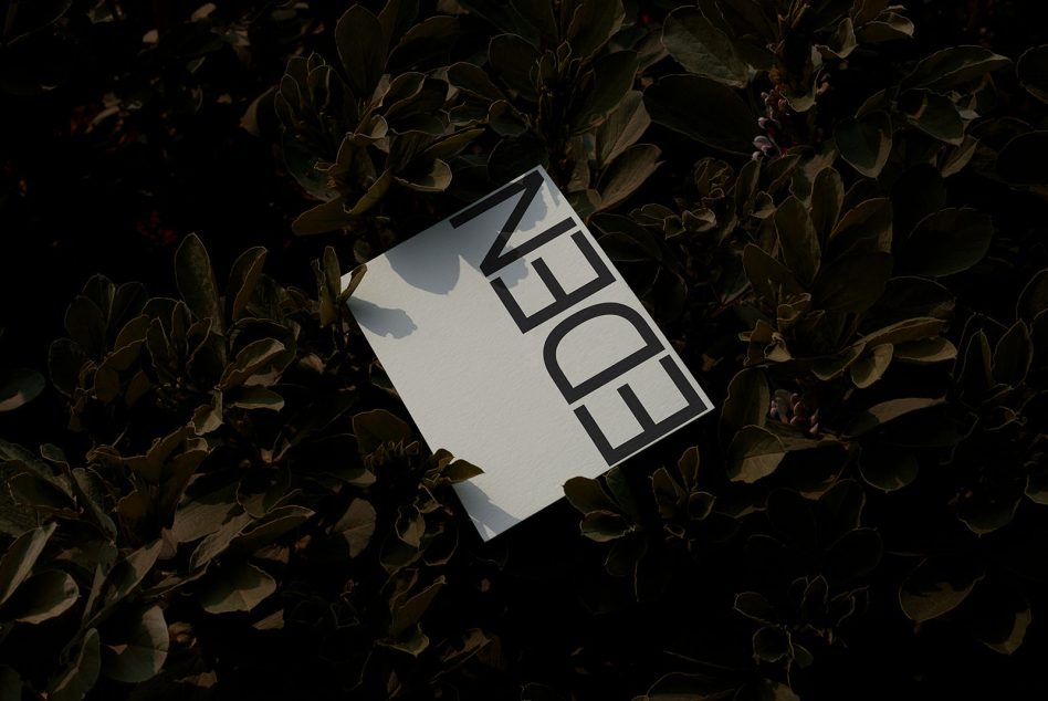 Light letterhead with black geometric logo layout on dried plant background
