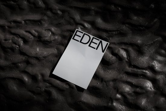 Blank paper card with the word EDEN on textured black background, ideal for sophisticated mockup presentations, design assets.