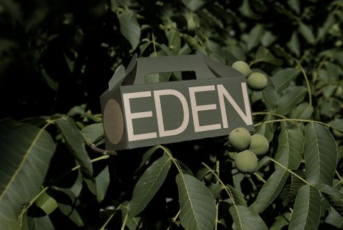 Eco-friendly packaging mockup with 'EDEN' text, suspended among green leaves. Suitable for branding and sustainable design presentations.