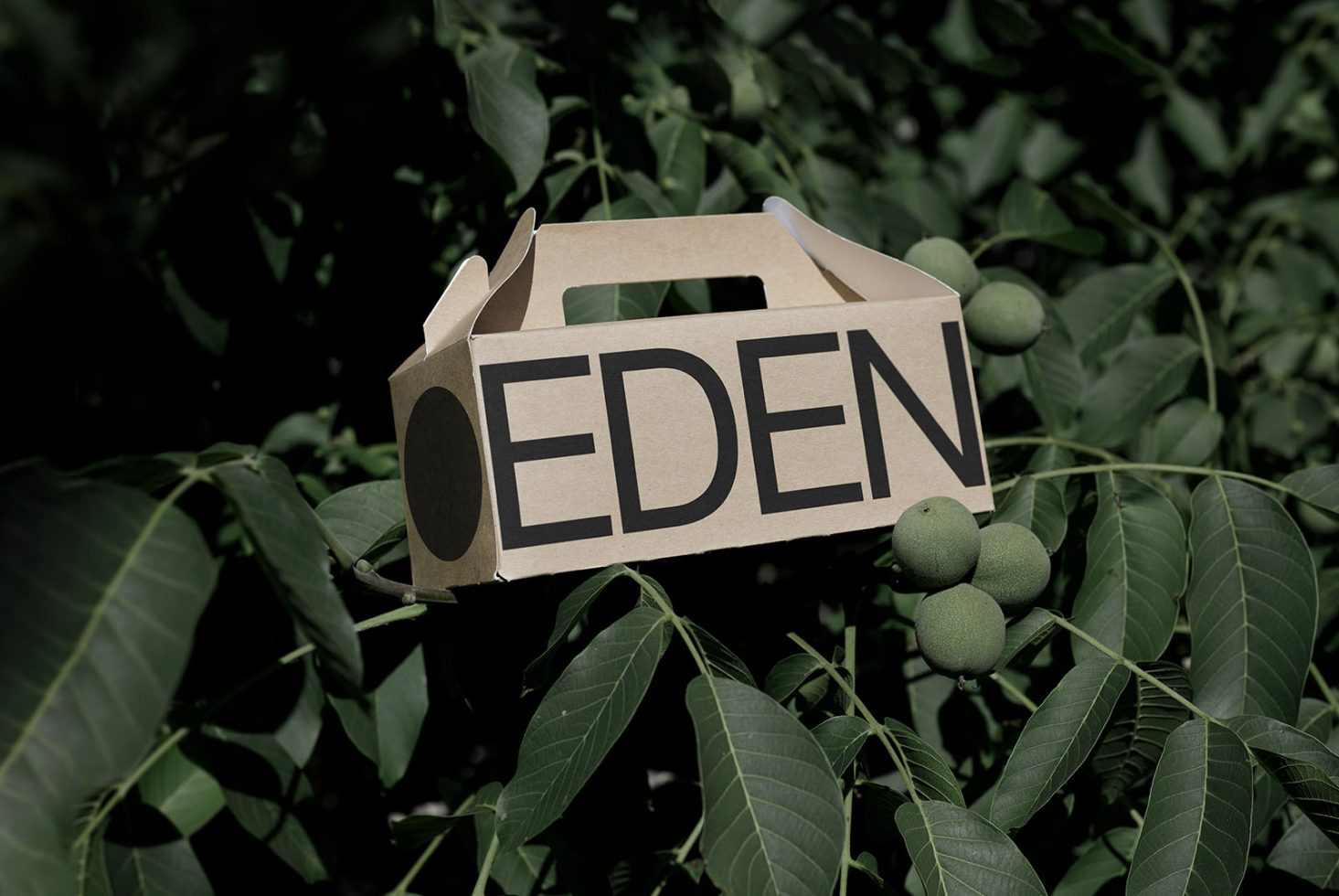 Cardboard packaging mockup with bold typography 'EDEN' set against a natural green leafy background, ideal for eco-friendly product design.