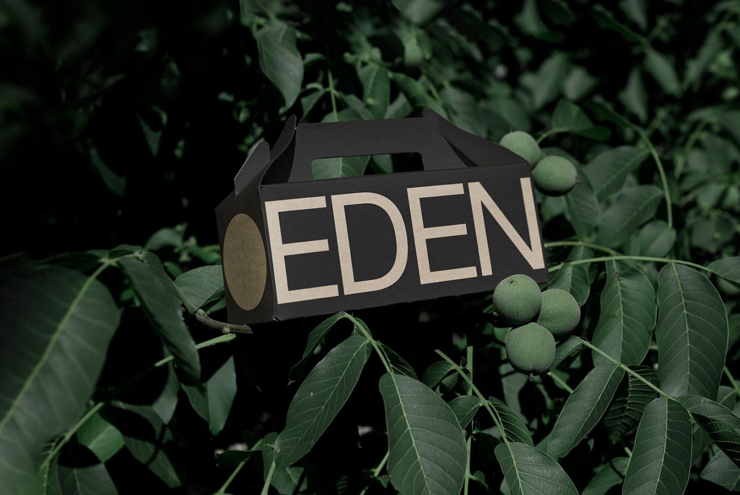 Black paper craft packaging box with EDEN text among green leaves, ideal for eco-friendly product mockup design templates.