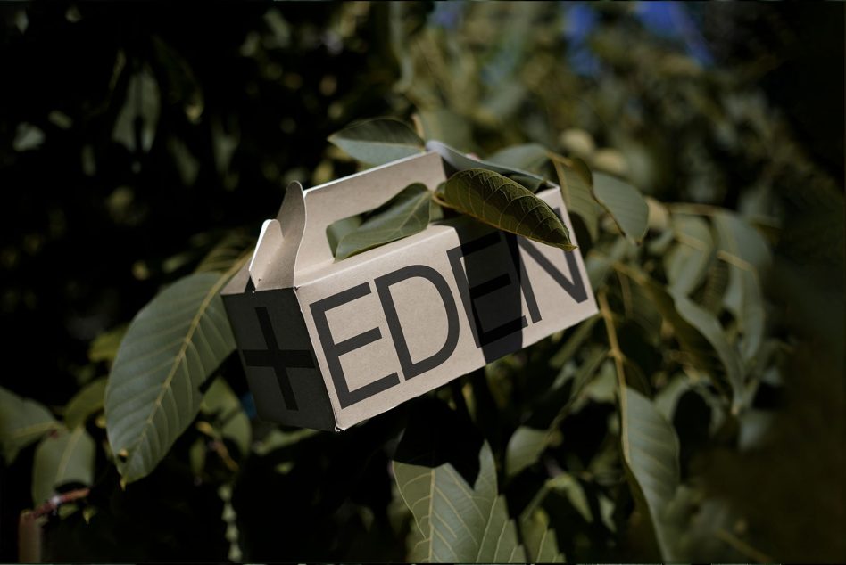 Paper packaging with bold font hanging on green foliage, design mockup, natural background, product branding.