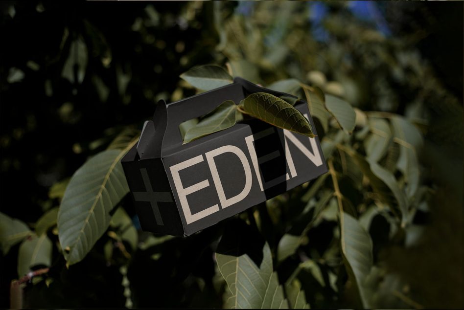 Black 3D text design Eden with a leafy background, ideal for Graphics, Nature Themes, Typography Showcase, and Creative Design Mockups.