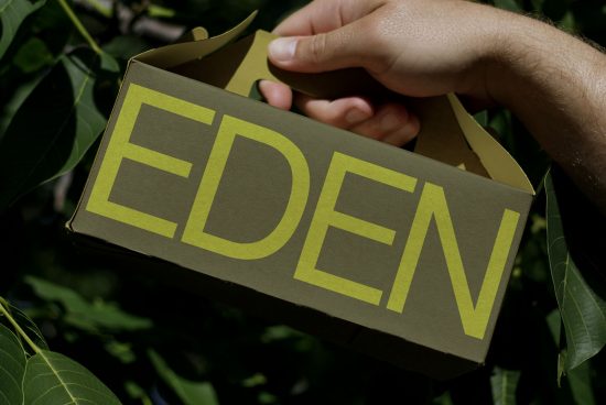 Person holding cardboard box with bold typography EDEN, eco-friendly package design mockup, sustainable branding in natural setting.