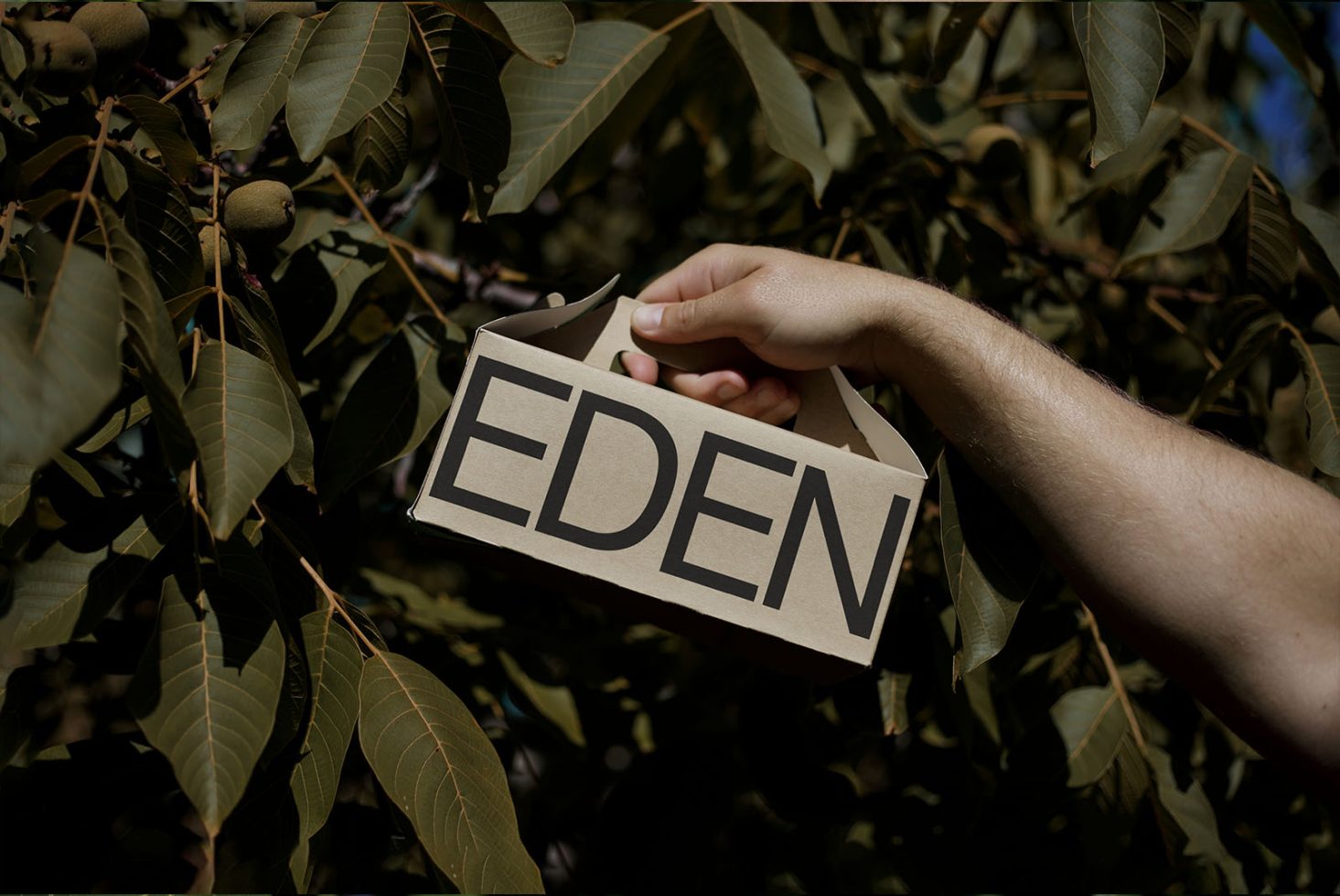 Hand holding a cardboard sign with bold 'EDEN' text amidst green leaves, showcasing font design, natural mockup setting for graphic designers.