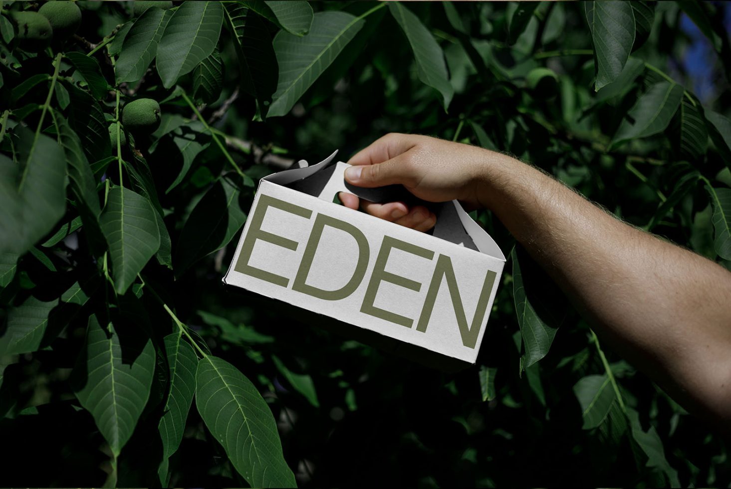 Hand holding a cardboard cutout with the word EDEN in natural setting for eco-friendly design mockup perfect for graphics and branding.