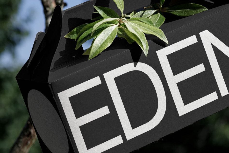 Close-up of modern bold font on black packaging with green leaves for graphic design mockup.