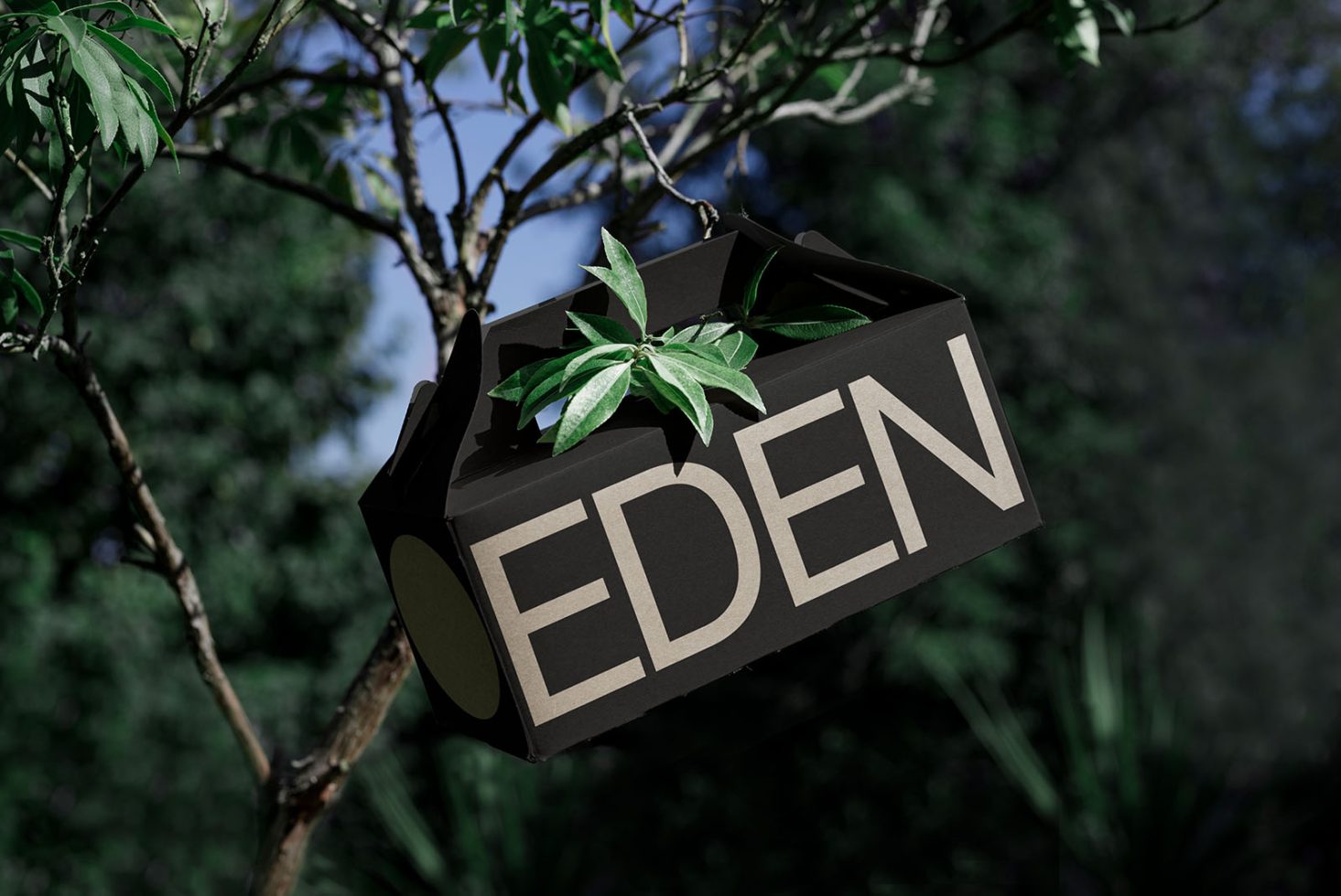 Black birdhouse with the word EDEN stylized on it, hanging from a tree branch, showcasing unique design mockup in natural setting for branding.