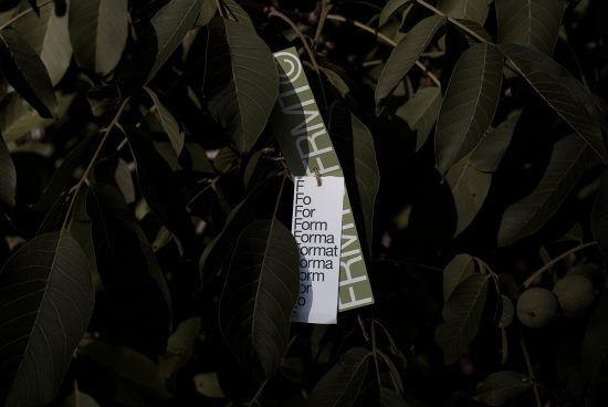 Graphic design mockup of a tag with typography hanging on a tree, showcasing print design, layout, and branding in a natural setting.