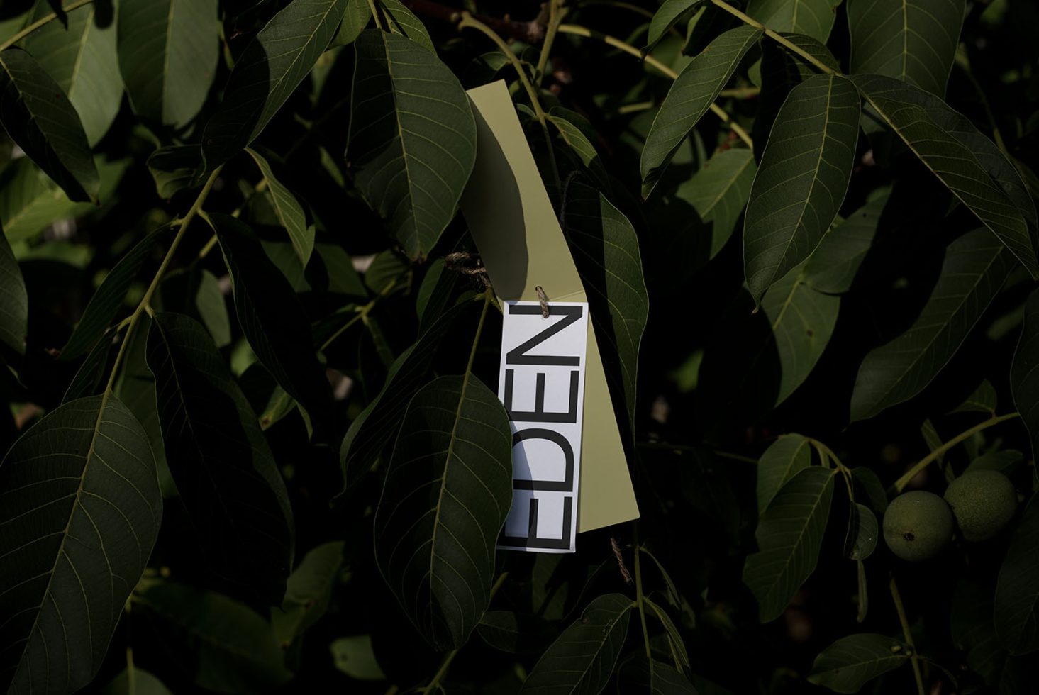 Green bookmark with the word EDEN hanging on a tree amidst leaves, showcasing elegant font design, ideal for designers exploring natural mockups.