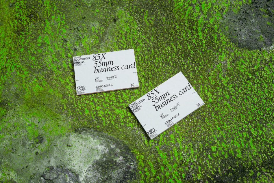 Pair of business cards on bright green moss covered ground