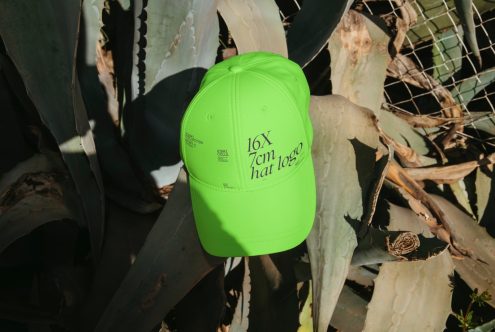 Bright green baseball cap mockup with logo placement sitting on aloe vera plants, sunlight casting shadows, perfect for hat design previews.