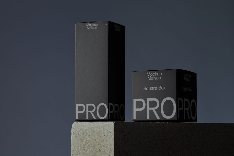 Two black boxes with PRO branding displayed on concrete foundation