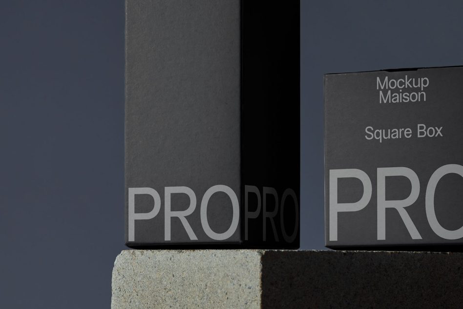 Tall black boxes with PRO text placed on rough concrete surface