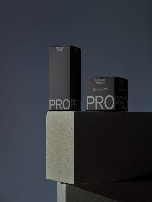 Two black boxes with PRO branding sitting on stacked concrete base