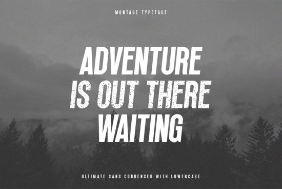 Adventure themed poster using Montage Typeface, showcasing bold font design perfect for graphic templates with moody forest backdrop.
