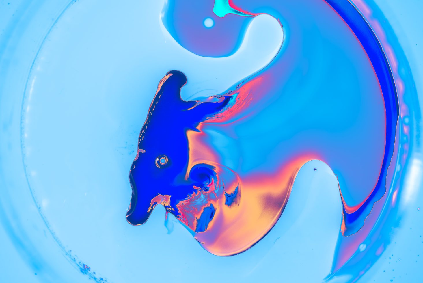 Vibrant blue and orange abstract liquid swirl for creative graphics category, perfect for artistic backgrounds and colorful designs.