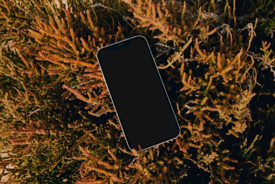 Smartphone mockup screen blank for design presentation, lying on foliage texture, natural setting, realistic mobile display.