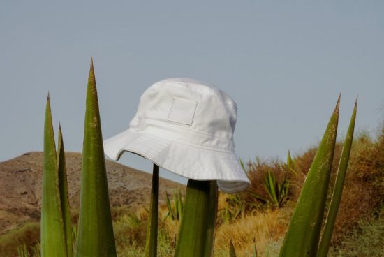 White bucket hat mockup on a green agave plant with natural background, perfect for eco-friendly fashion design presentations.