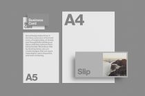 Stationery mockup with A4, A5 paper, business cards, and slip, in a grey minimalistic composition for designers and branding presentations.