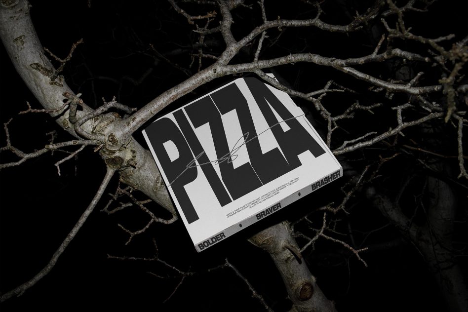 Monochrome cover with bold geometric type resting on gnarled branches at night