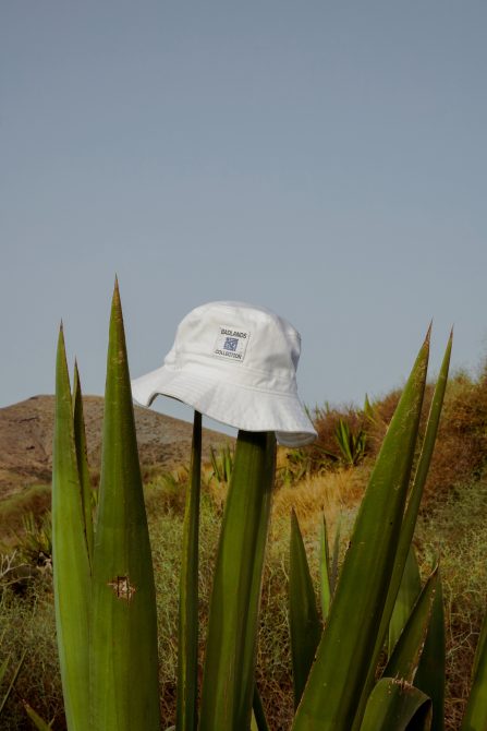 White bucket hat balanced on tall green desert succulents under clear sky