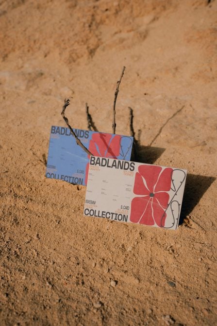 Stacked Badlands Collection cards propped in sand with dried desert plants