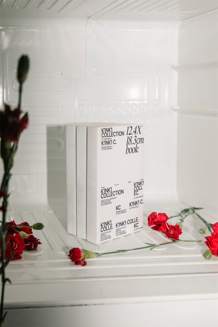 Product packaging mockup featuring white box with black text among red roses inside a fridge, for graphic designers and branding.