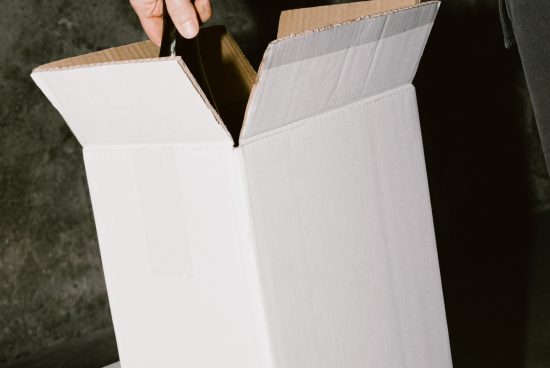Person holding open cardboard box, ideal for packaging mockup designs, with copyspace for logos and branding, perfect for designers.