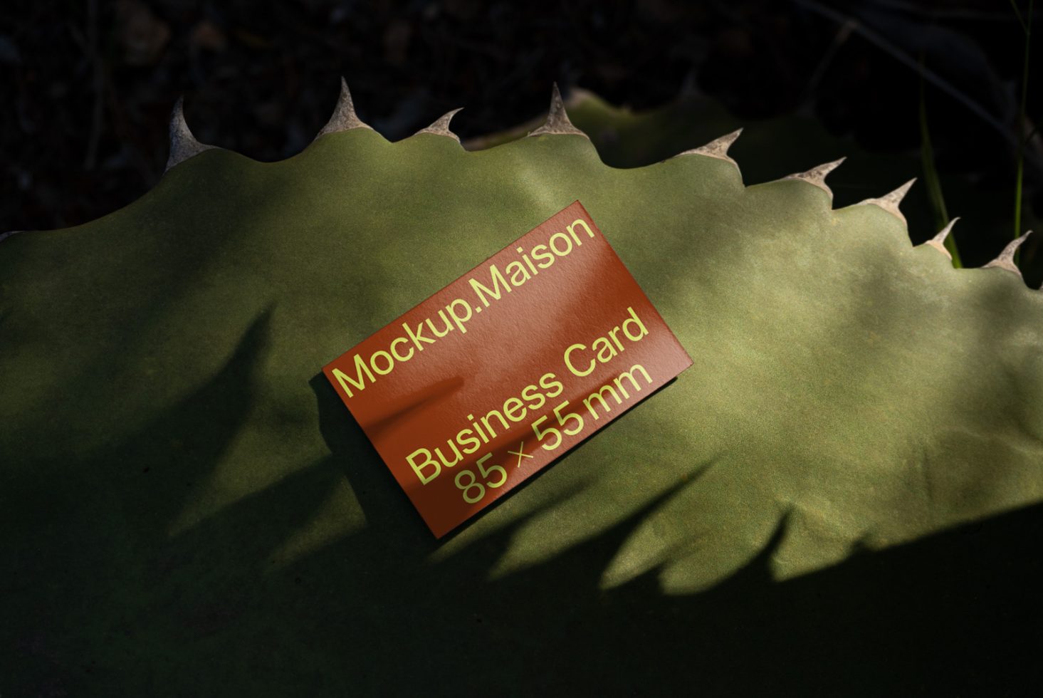 Realistic business card mockup on a green leafy background with natural shadows for presentation, 85x55 mm, perfect for designers and branding.