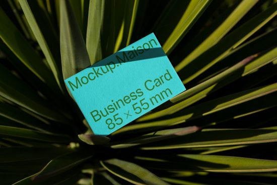 Turquoise business card with dimensions label placed in lush green plant, showcasing an organic design, perfect mockup example for nature-inspired branding.