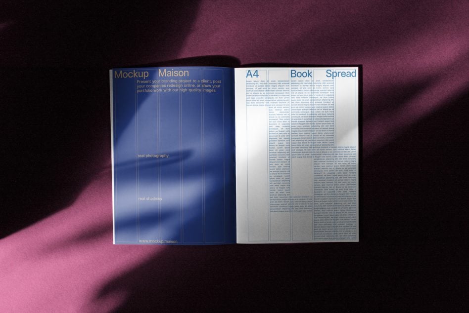 Open book spread showing blue left page with shadows detail on left, white right page with text columns on right, shot overhead on pink fabric background