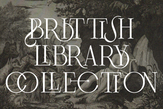 Vintage engraved illustration overlay with elegant font from British Library Collection, perfect for Mockups and Graphics category.