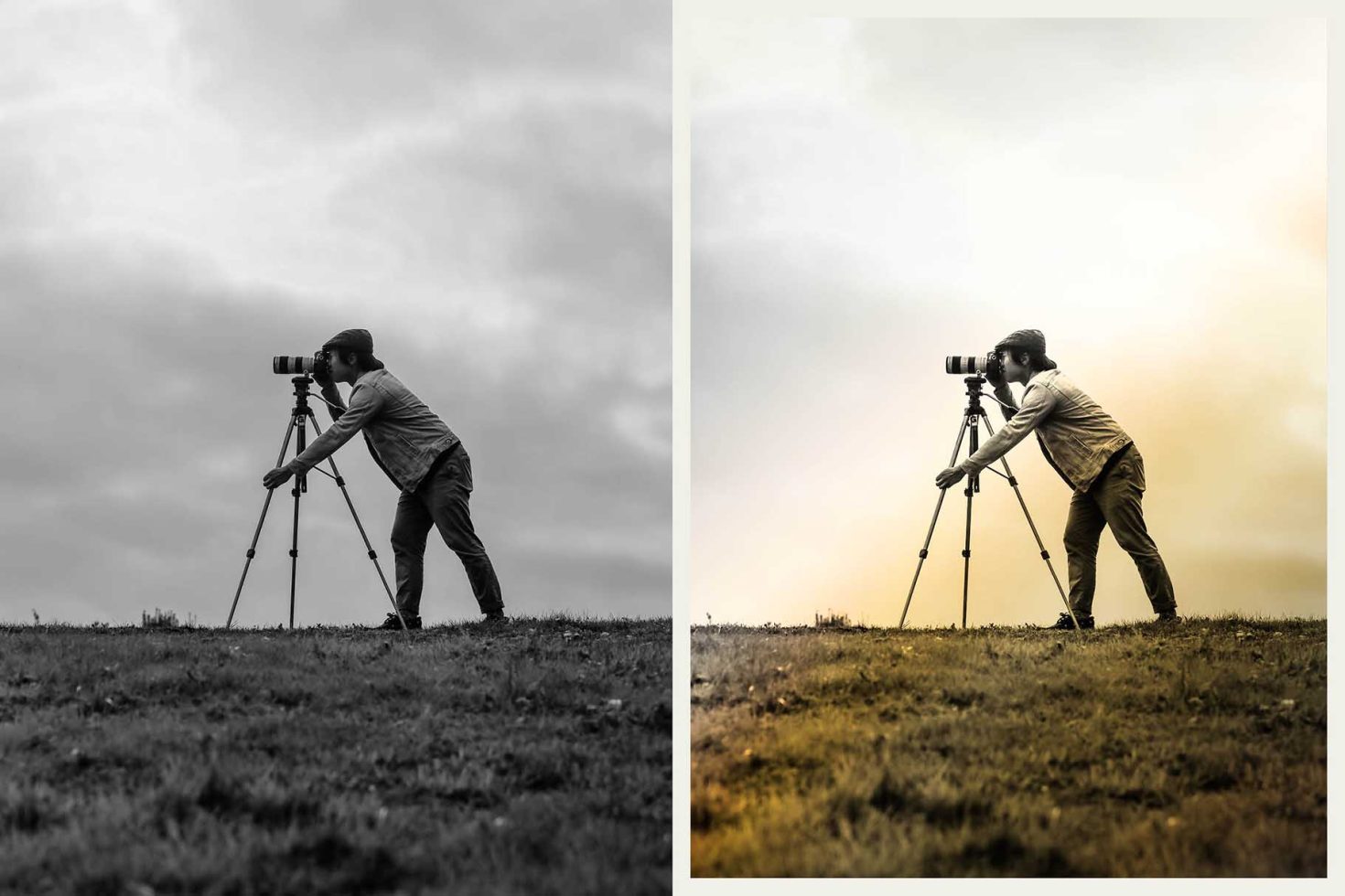 Photographer in field with camera on tripod, split image showing black and white and color editing, suitable for mockup or graphics display.