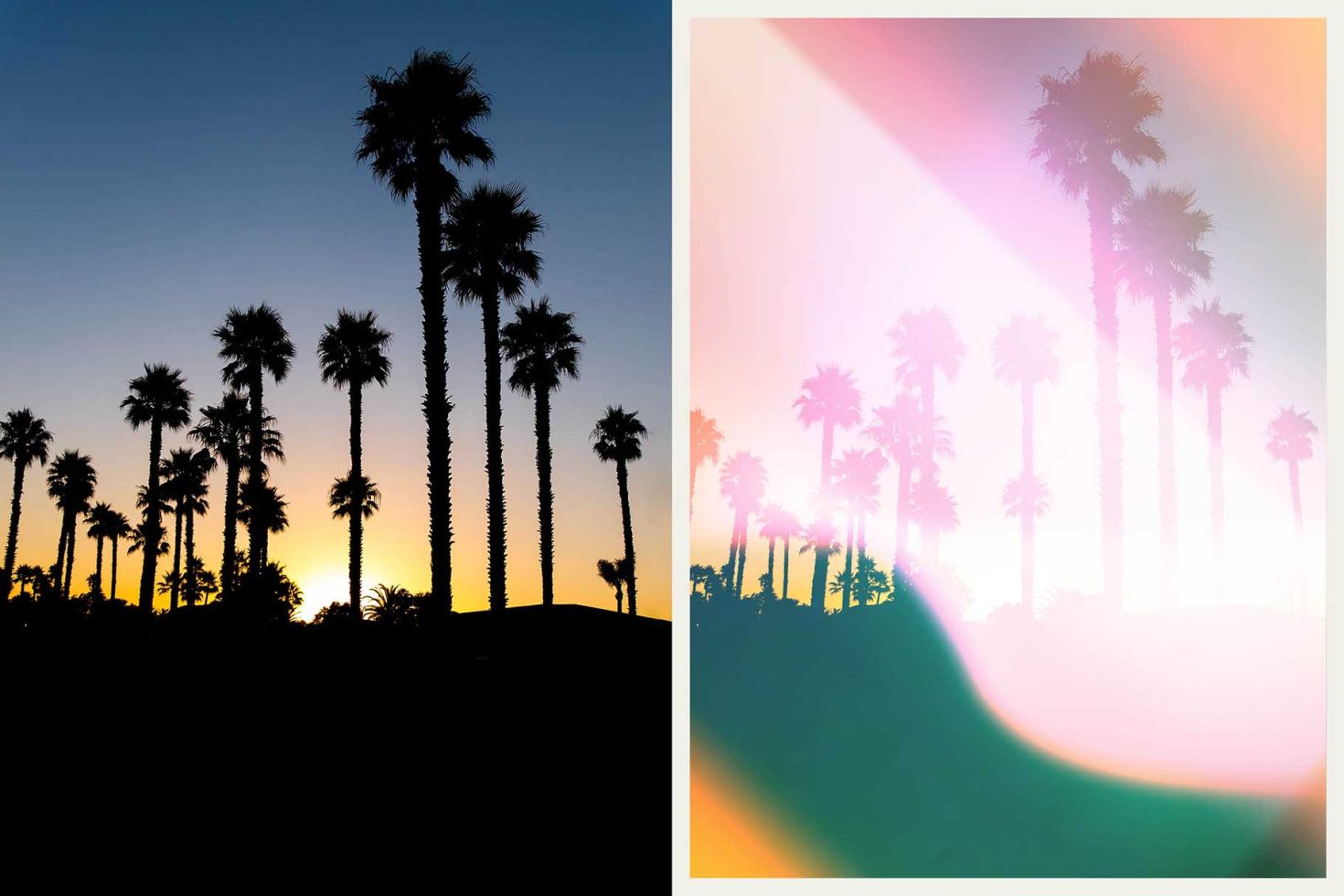 Silhouetted palm trees at sunset, split image with natural and gradient overlay, ideal for graphic design, mockups, and backdrop templates.