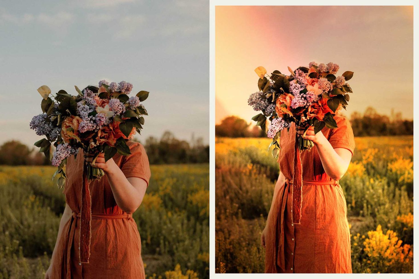 Woman in a field holding flowers over face, before and after edit, for photo enhancement, template, or graphics display.