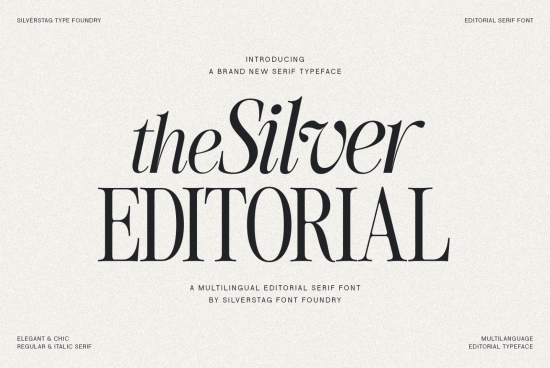 Elegant serif font promotional image featuring Silver Editorial Typeface by Silverstag, for multilingual editorial design, available in regular and italic.