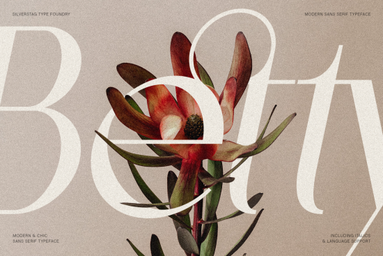 Elegant botanical font showcase with modern sans serif typography for design templates, set against a floral background. Perfect for chic graphics.