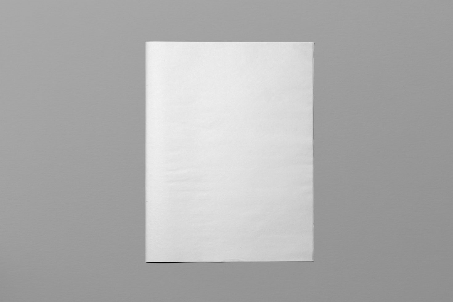 Blank white paper brochure mockup on grey background, vertical orientation, design presentation, clean template.