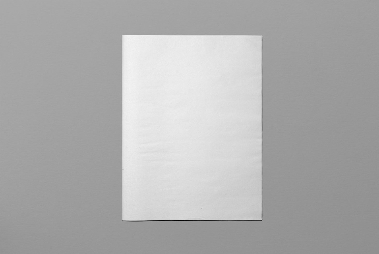 Vertical blank flyer mockup on grey background, paper template design, graphic presentation tool for designers, print ready.