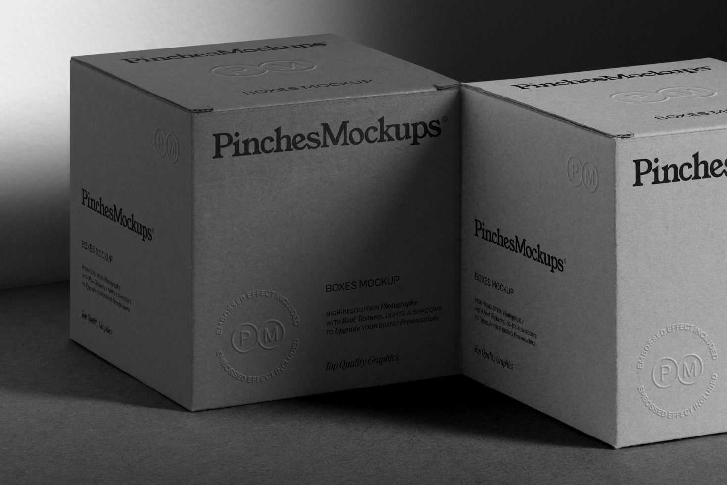 Black and white photo of two branded cardboard box mockups for product packaging design, with embossed logo and text details.