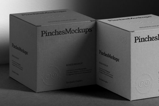 Two cardboard box mockups in monochrome, high-resolution, branding presentation, packaging design template, realistic textures and shadows.