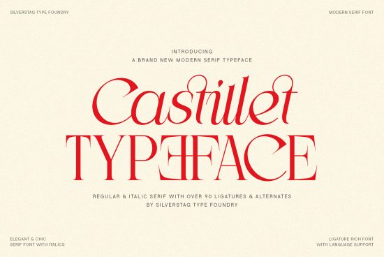 Modern serif font Castillet Typeface by Silverstag with elegant italics, over 90 ligatures and alternates for sophisticated design projects.