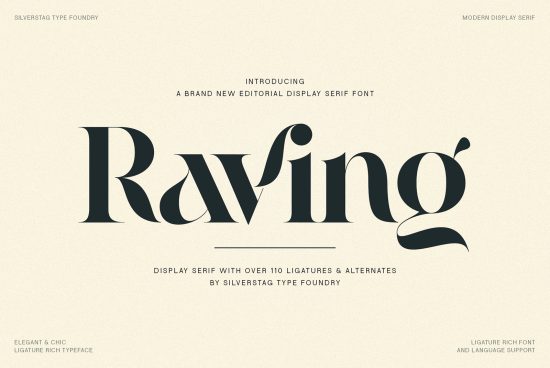 Modern display serif font Rawino from Silverstag Type Foundry, editorial chic typeface with ligatures and language support for design assets.