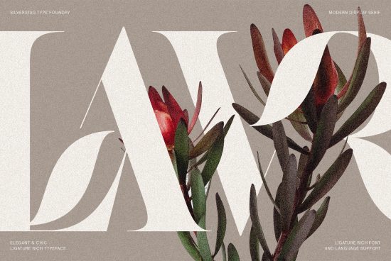 Elegant serif font preview with floral graphics, showcasing typography for branding, stylish and modern font design for creative projects.