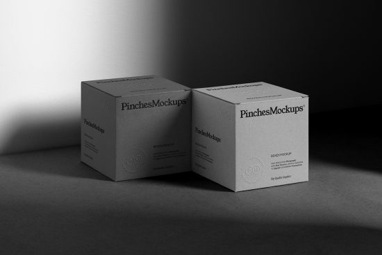 Two cardboard box mockups with subtle branding in elegant lighting for product packaging design presentation, high-resolution template.