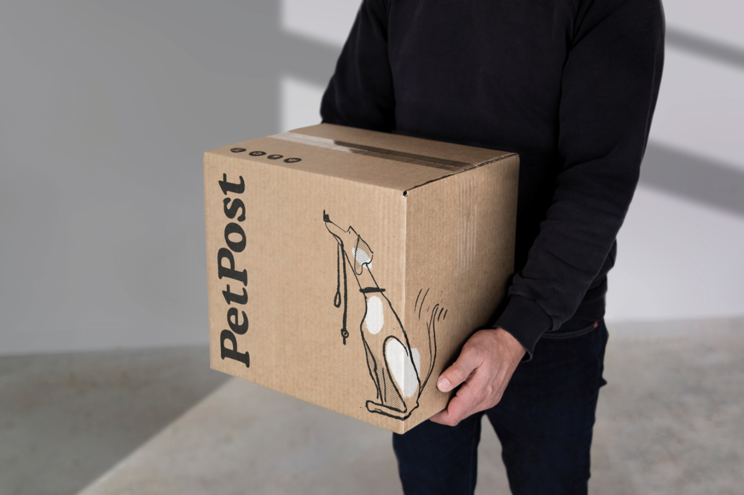 Person holding cardboard package with PetPost logo and dog illustration, ideal for e-commerce, packaging mockup, brand design.