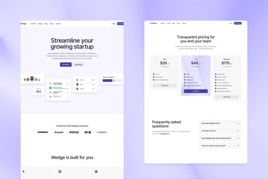 Modern website UI design showcase for startup with pricing and FAQ sections, clean layout, digital asset for web templates category.